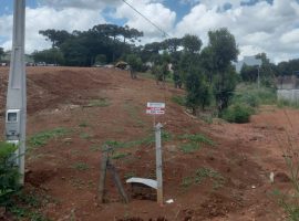 TERRENOS  - LOTEAMENTO PICHLER